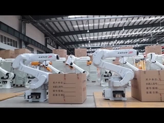 ER15-1400 robots industriels généraux dans l'industrie générale qui manipulent le polissage
